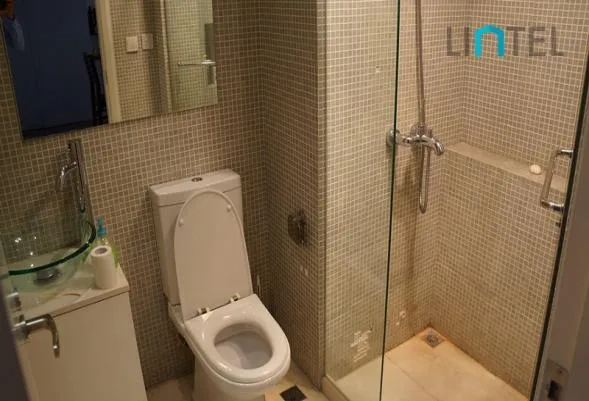 Rm 401 No 3 Tomson Garden(11)