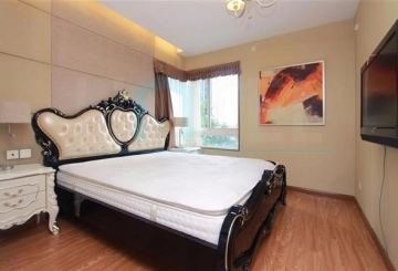 Rm 402 No 5 City Castle(7)
