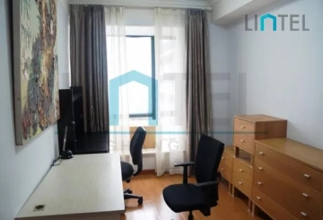Rm 501 No 1 Consul Garden(11)