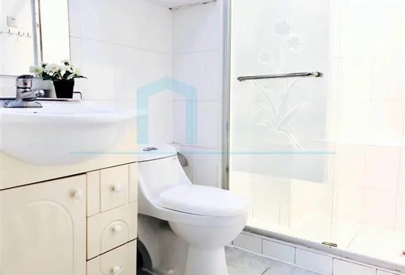 Rm 502 No 1 Xintiandi He Bin Garden(6)