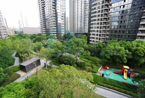 Rm 502 No 7 The View Rainbow City(12)
