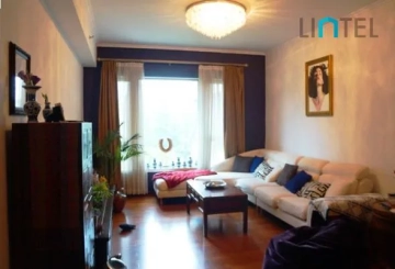Rm 504 No 3 Wellington Garden
