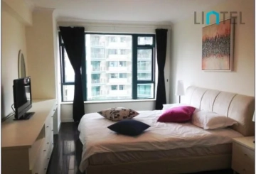 Rm 504 No 4 Century Metropolis(3)