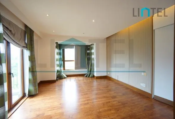 Rm 601 No 1 Champs Elysees(14)