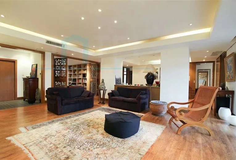 Rm 601 No 1 Champs Elysees(2)