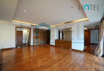Rm 601 No 1 Champs Elysees(5)