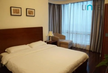 Rm 601 No 56 Golden Vienna(10)