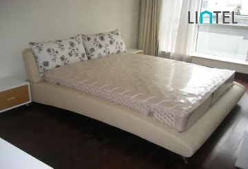 Rm 601 No 6 The Central Park(5)