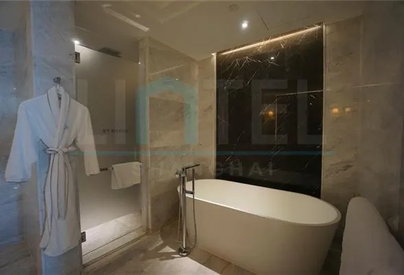 Rm 6201 ST REGIS Apartments(11)