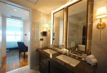 Rm 6201 ST REGIS Apartments(12)