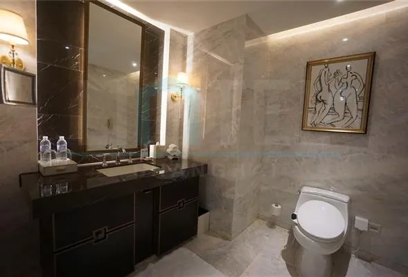Rm 6201 ST REGIS Apartments(14)