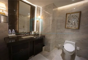Rm 6201 ST REGIS Apartments(14)