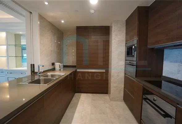 Rm 6201 ST REGIS Apartments(4)