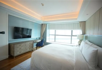 Rm 6201 ST REGIS Apartments(6)