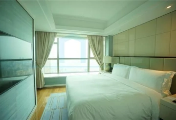 Rm 6202 ST REGIS Apartments(8)