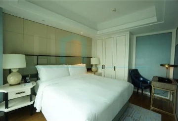 Rm 6202 ST REGIS Apartments(9)