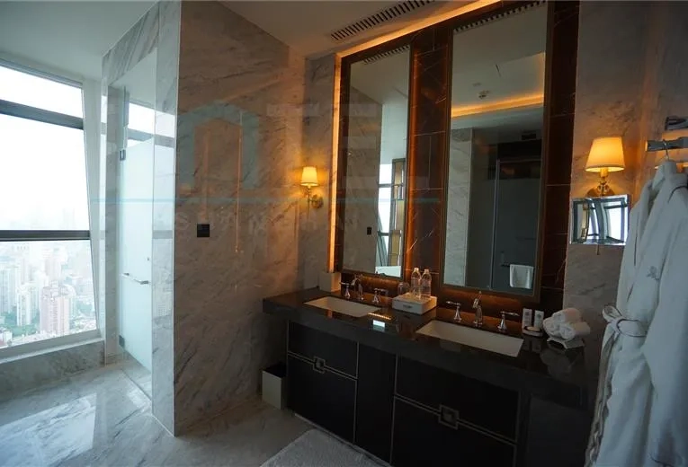 Rm 6888 ST REGIS Apartments(11)