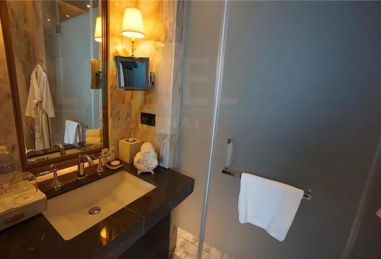 Rm 6888 ST REGIS Apartments(14)