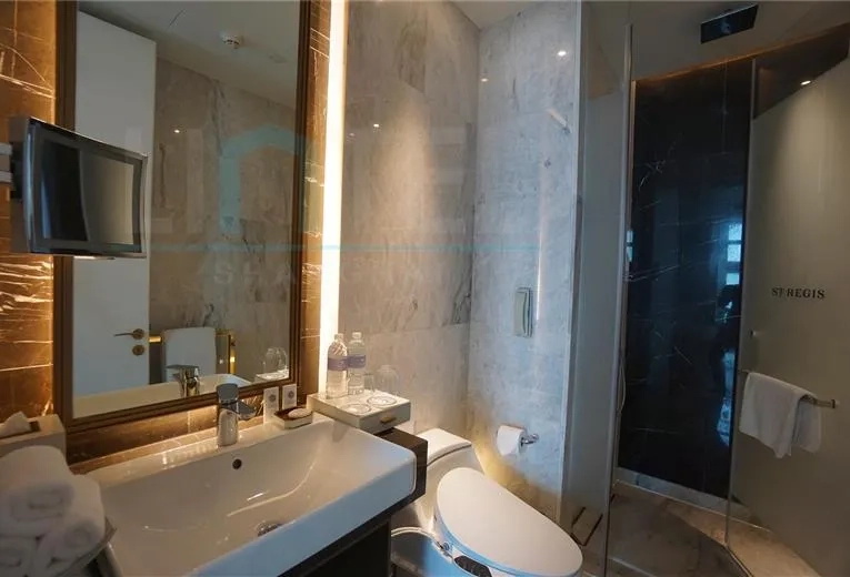 Rm 6888 ST REGIS Apartments(16)