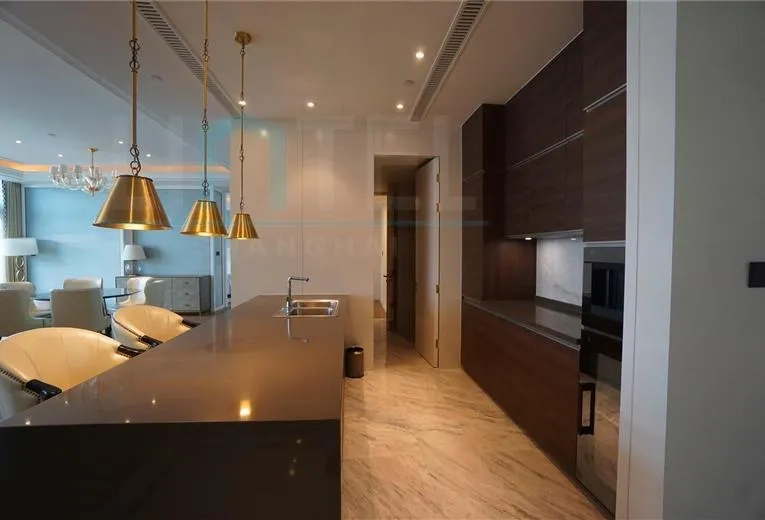 Rm 6888 ST REGIS Apartments(5)