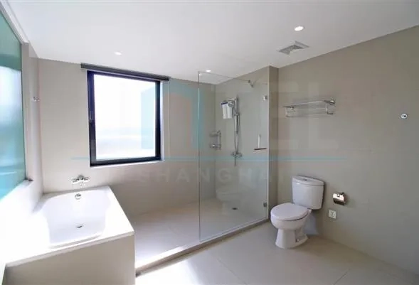 Rm 702 No 2 Champs Elysees(6)