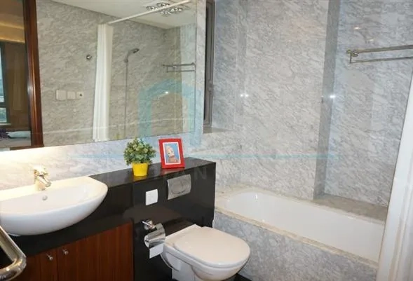 Rm 702 No 3 Jing'an Four Seasons(5)