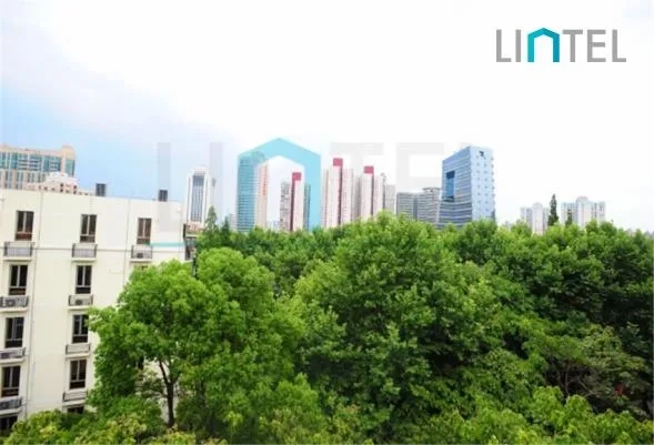 Rm 703 No 189 Yuqing Road(3)