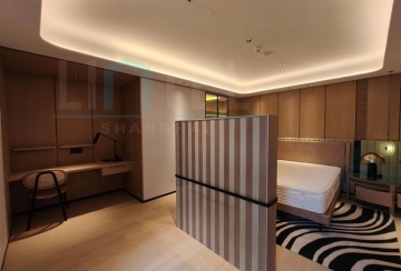 Rm 758 Hyatt Centric Serviced Apt(7)