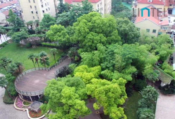 Rm 7A No A Ming Garden(3)