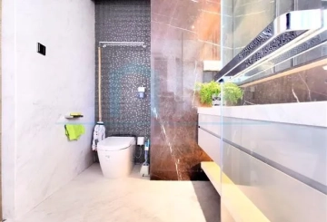 Rm 801 No 6 Nove Mansion(9)