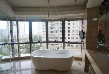 Rm 802 No 1 Prince Hills(7)