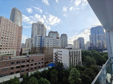 Rm 802 No 6 The Central Park(2)