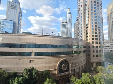 Rm 802 No 6 The Central Park(10)