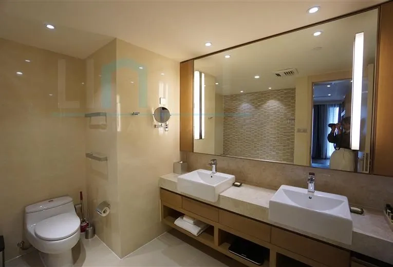 Rm 803 Lanson Place Aroma Garden(5)
