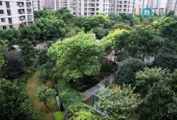 Rm 901 No 19 Gubei Intl Garden(3)