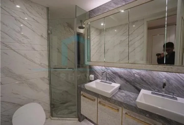 Rm 901 No 3 The Palace II(7)