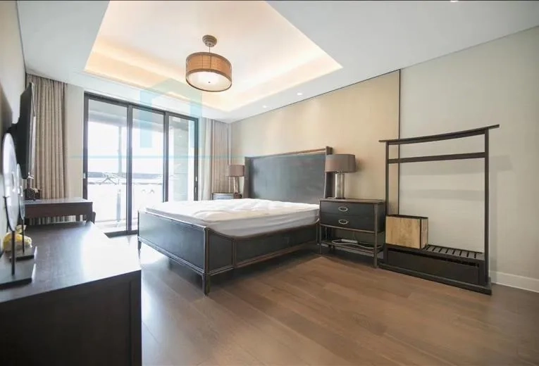 Rm 901 No 7 Lakeville Luxe(5)