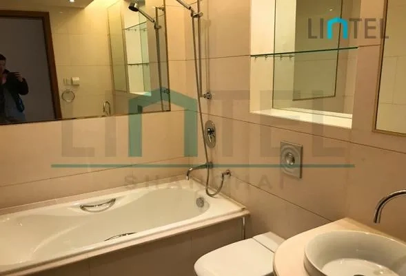 Small Chinese 4-bdr Deluxe Tomson Riviera Garden(27)