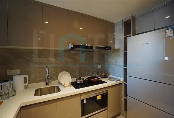 Standard 1-bdr Executive Unit The Carossa Shanghai(3)