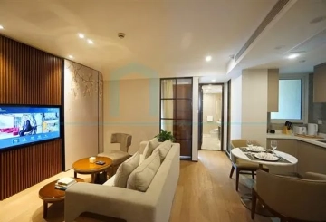 Standard 1-bdr Premium Unit The Carossa Shanghai(2)