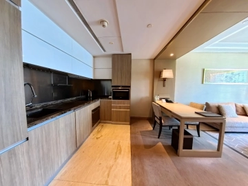 Standard 1-bdr Suite IFC Residence(4)