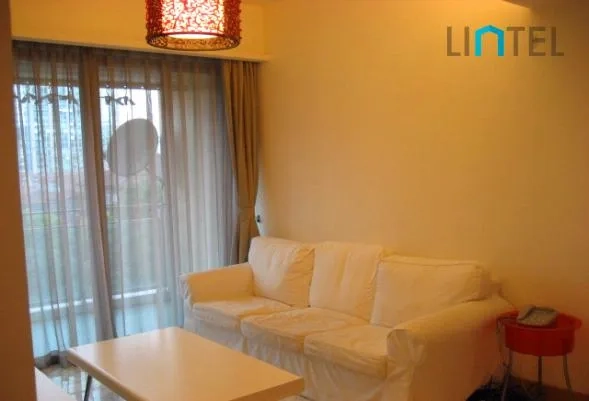 Standard 1-bdr Unit Jing'an Four Seasons(2)