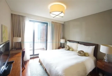 Standard 1-bdr Unit Lanson Place Jinqiao(6)