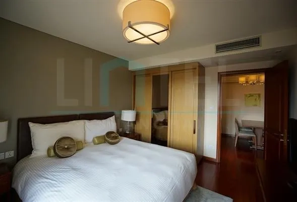 Standard 1-bdr Unit Lanson Place Jinqiao(7)