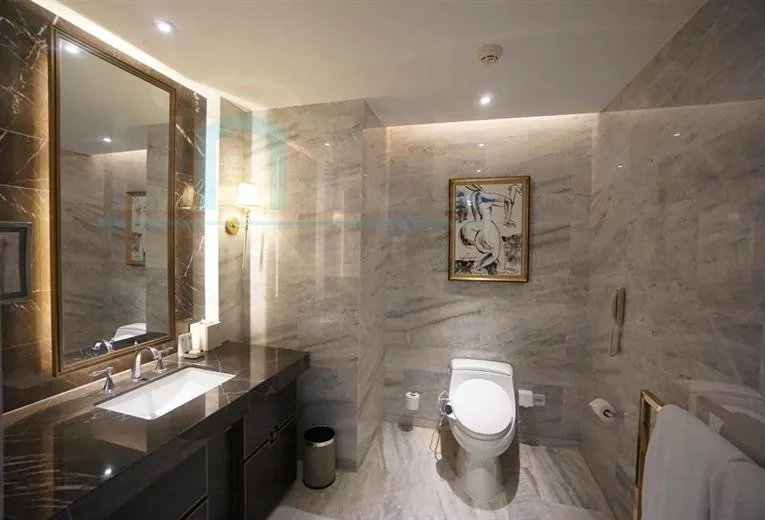 Standard 2+1 Unit ST REGIS Apartments(13)