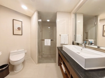 Standard 2-bdr Executive Ascott Huaihai Road(8)