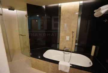 Standard 2-bdr Executive Ascott Huaihai Road(6)