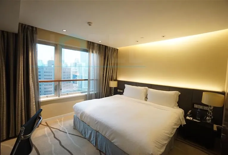 Standard 2-bdr Executive Ascott Huaihai Road(8)