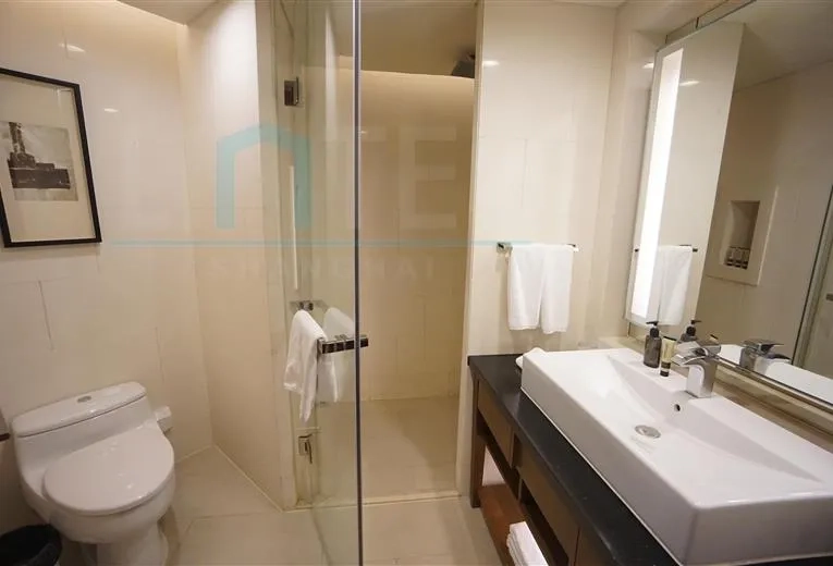 Standard 2-bdr Executive Ascott Huaihai Road(10)