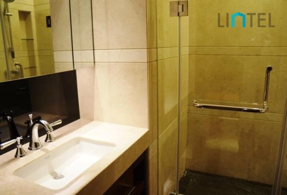 Standard 218 sqm 3-bdr Unit The Paragon(14)
